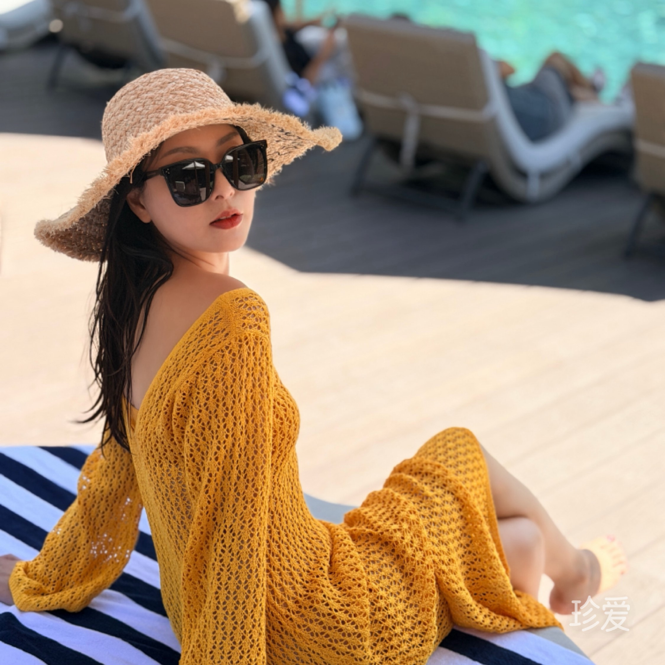 太阳花
