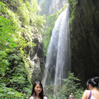 會(huì)員86560835