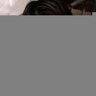 會(huì)員86633219