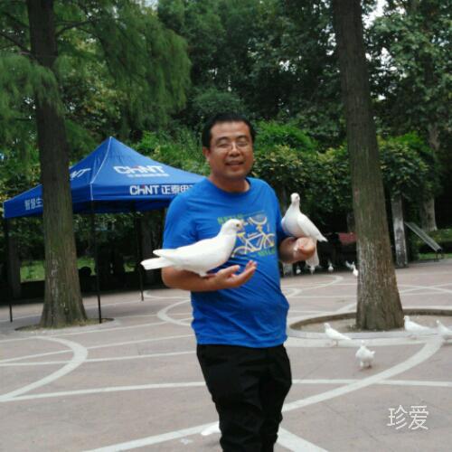 张哥