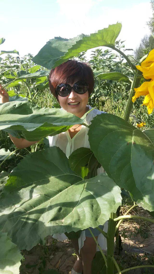 會(huì)員86768492