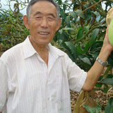 會(huì)員87023041