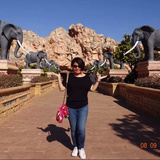 會(huì)員87099534