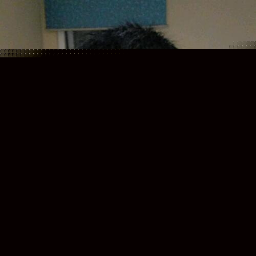 會(huì)員87823035