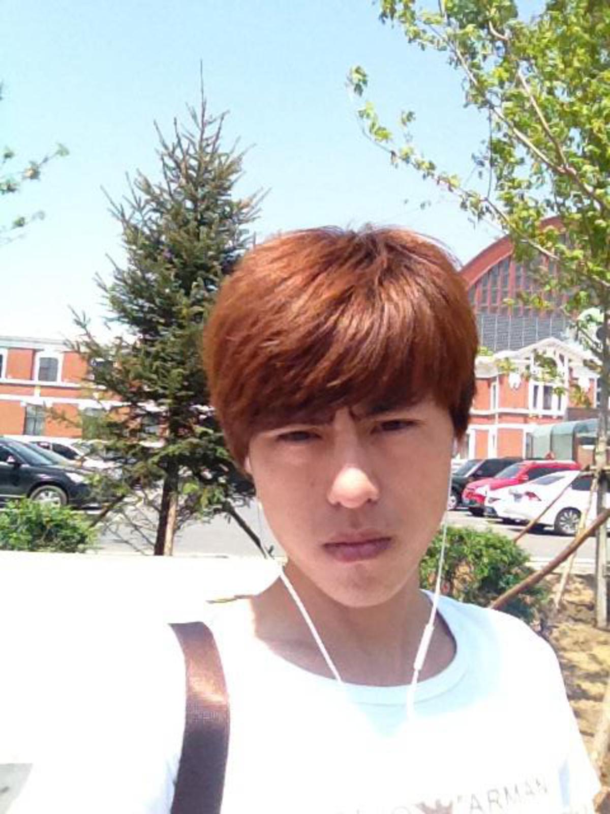 會(huì)員87982948