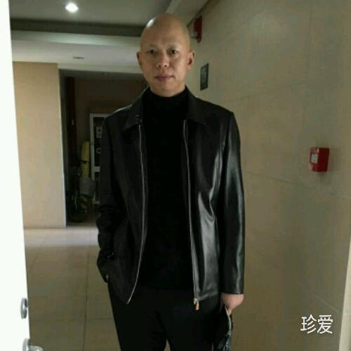 冬青树