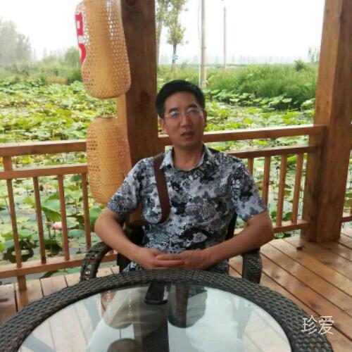 龙飞