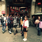 會(huì)員88512370