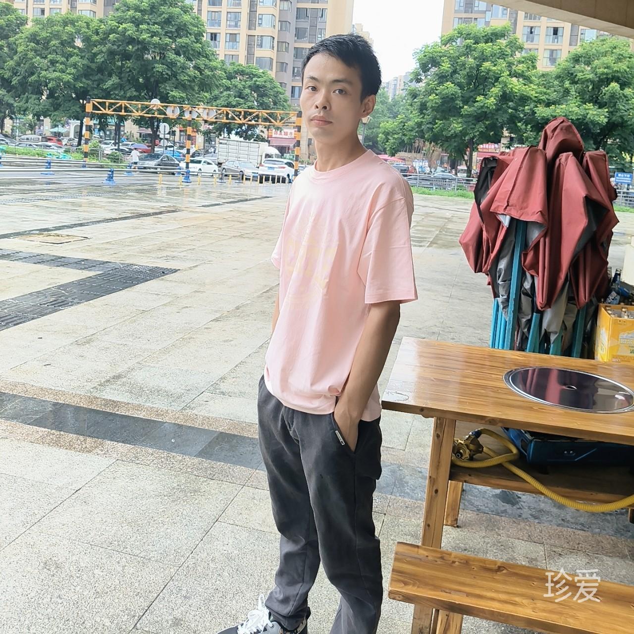 坐在树梢等日出