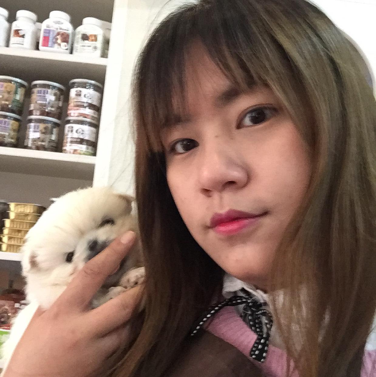 西平縣糖果派寵物