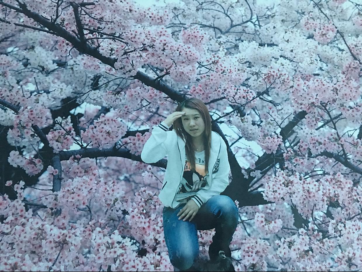 會(huì)員88803256