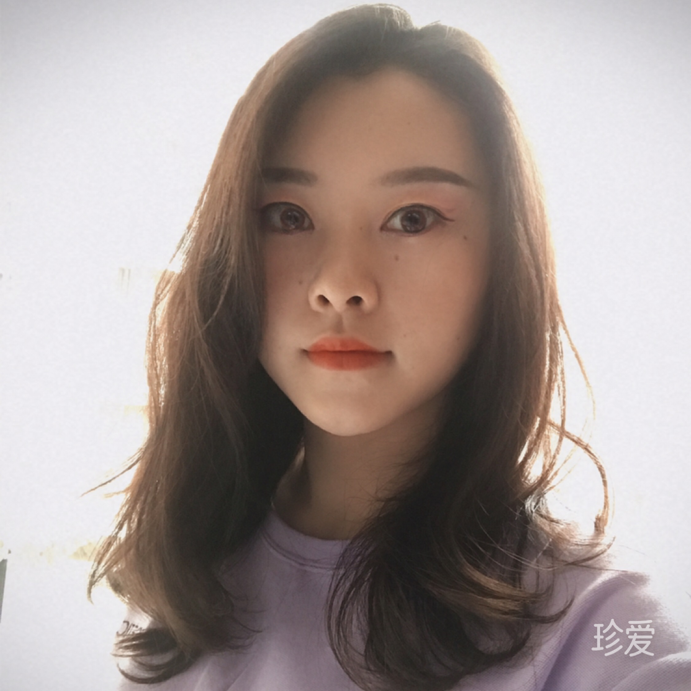 白芷