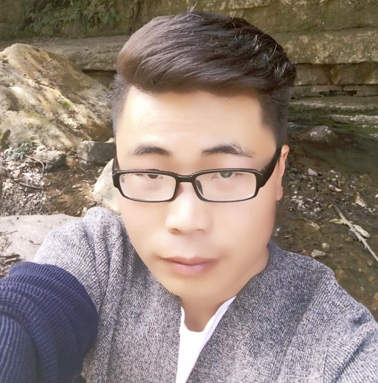 执着的猫在逗狗