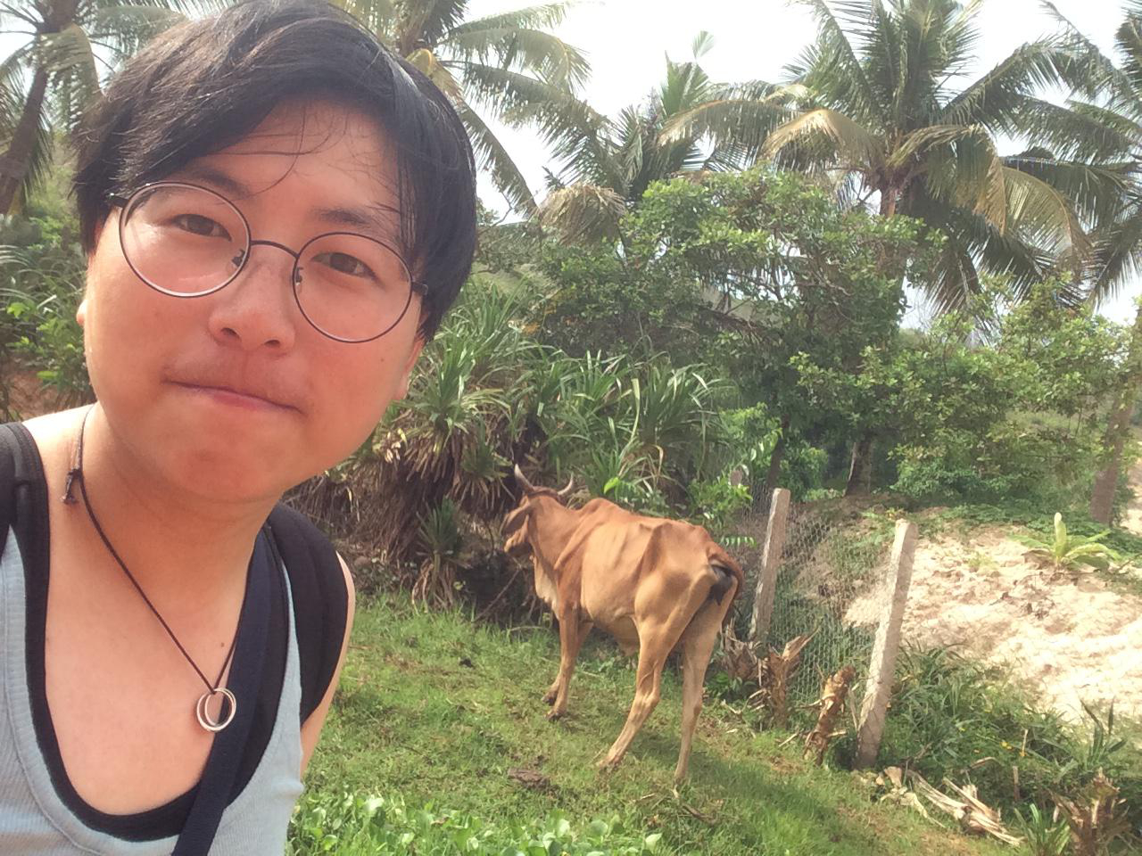 會(huì)員89346380