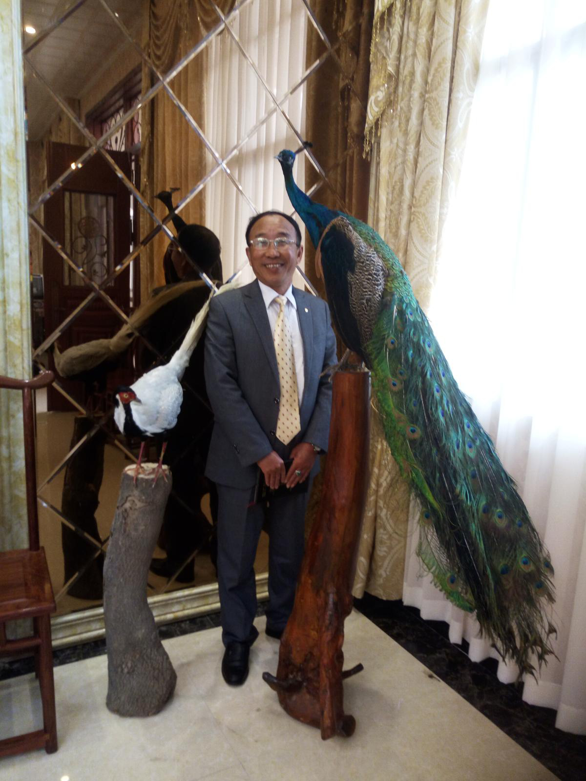 會(huì)員89388121