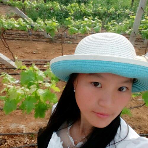 白茶清歡無別事