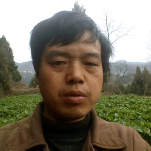 會(huì)員90014419