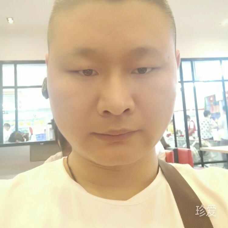 蚕茧里的牛