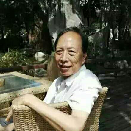 树叶
