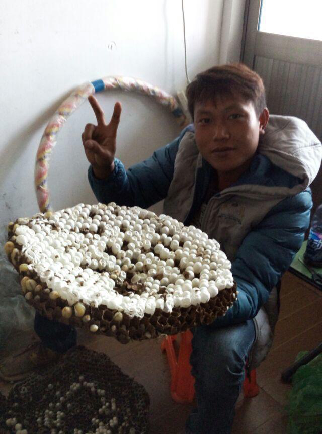 會(huì)員90486068