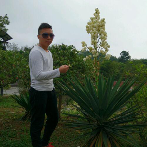 我只是個平凡的人