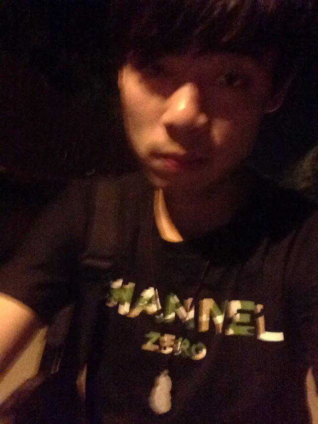 你喜歡貓還是狗