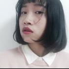 會(huì)員91085243