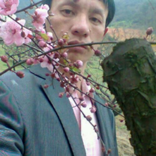 會(huì)員91454976