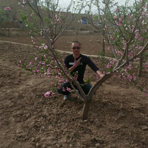 會(huì)員91494347