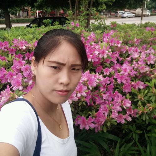 會(huì)員91586421