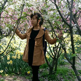 愛(ài)睡覺(jué)的龍貓