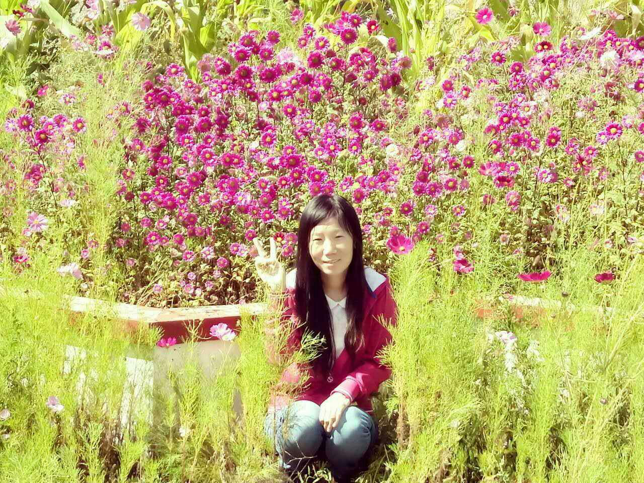 會(huì)員91729460