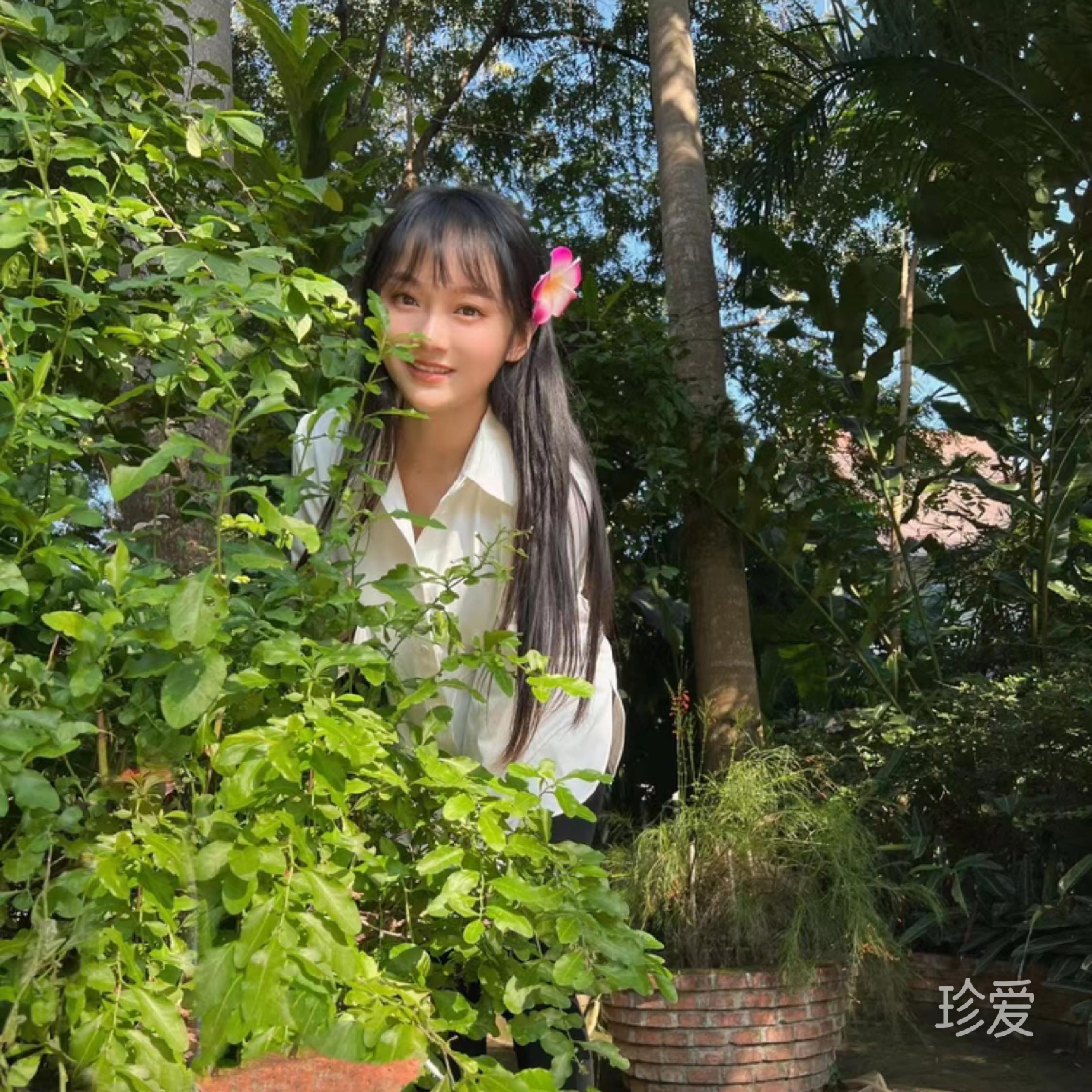 朵莉亚