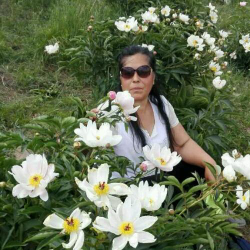 會(huì)員93581918