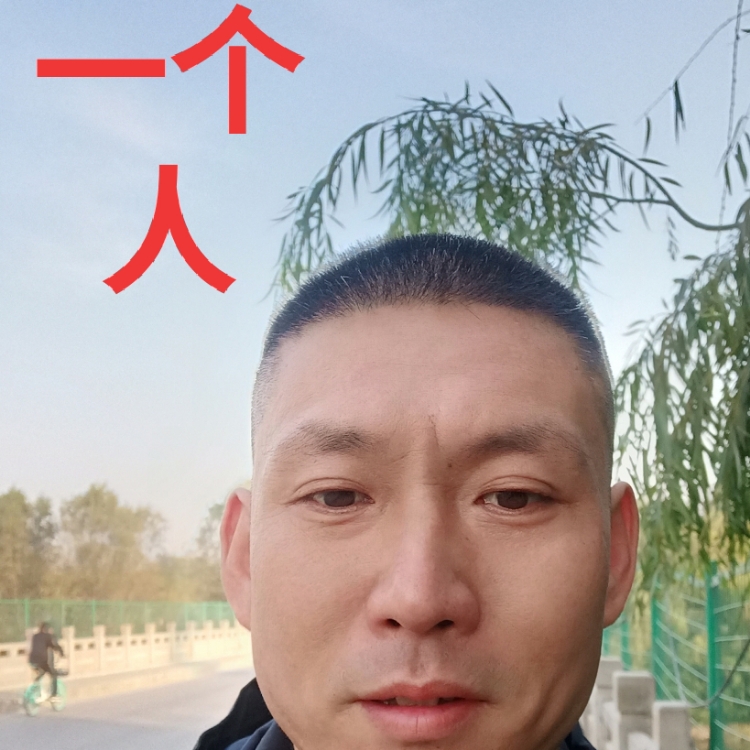 悠然見(jiàn)南山