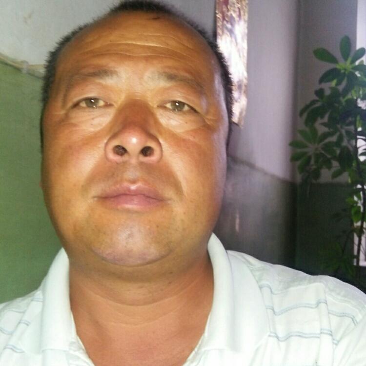 疼愛貓貓的牛牛