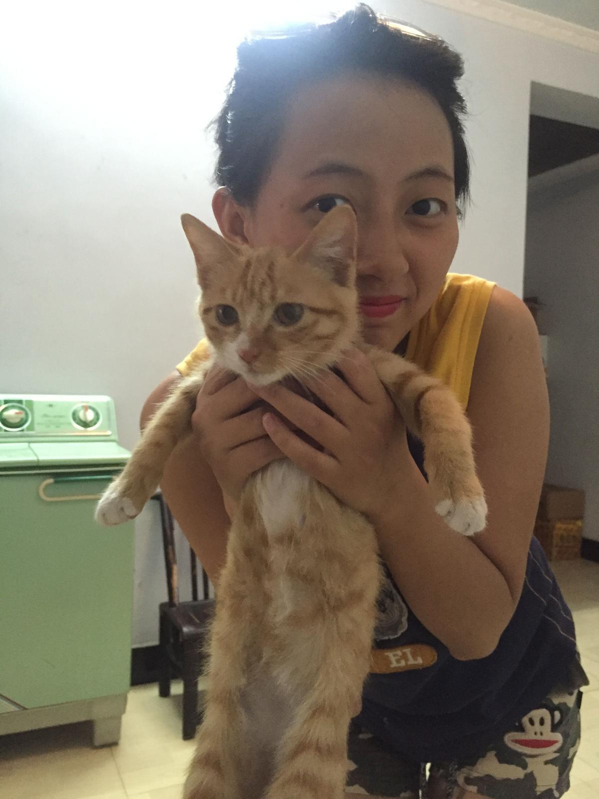 會(huì)員93995659