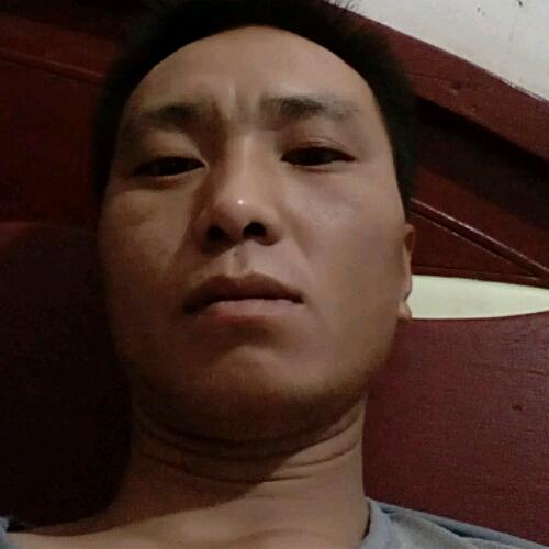 会员94383825