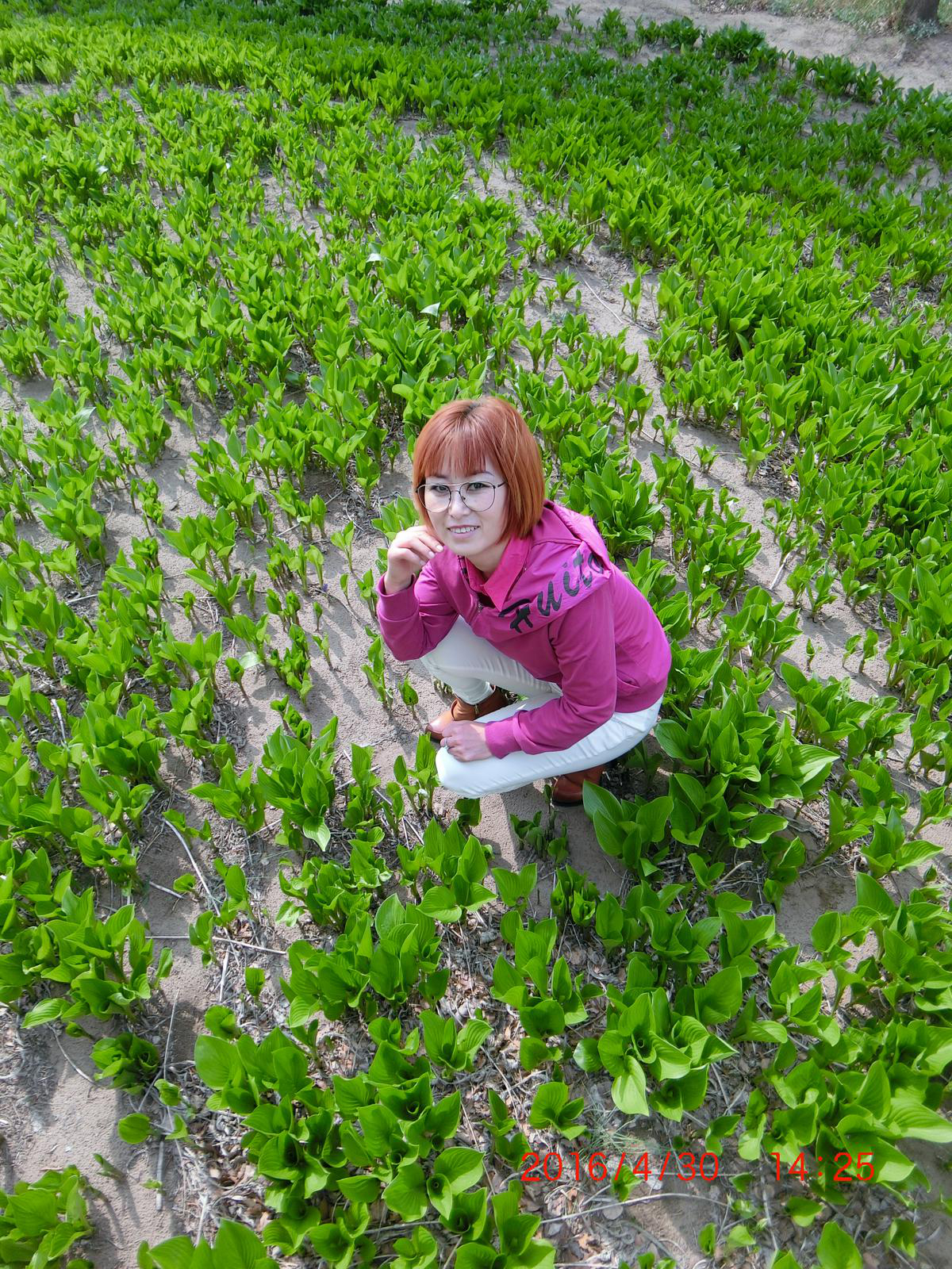 會(huì)員94499655