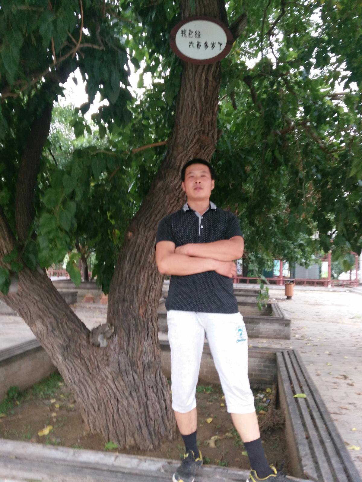 會(huì)員94915703