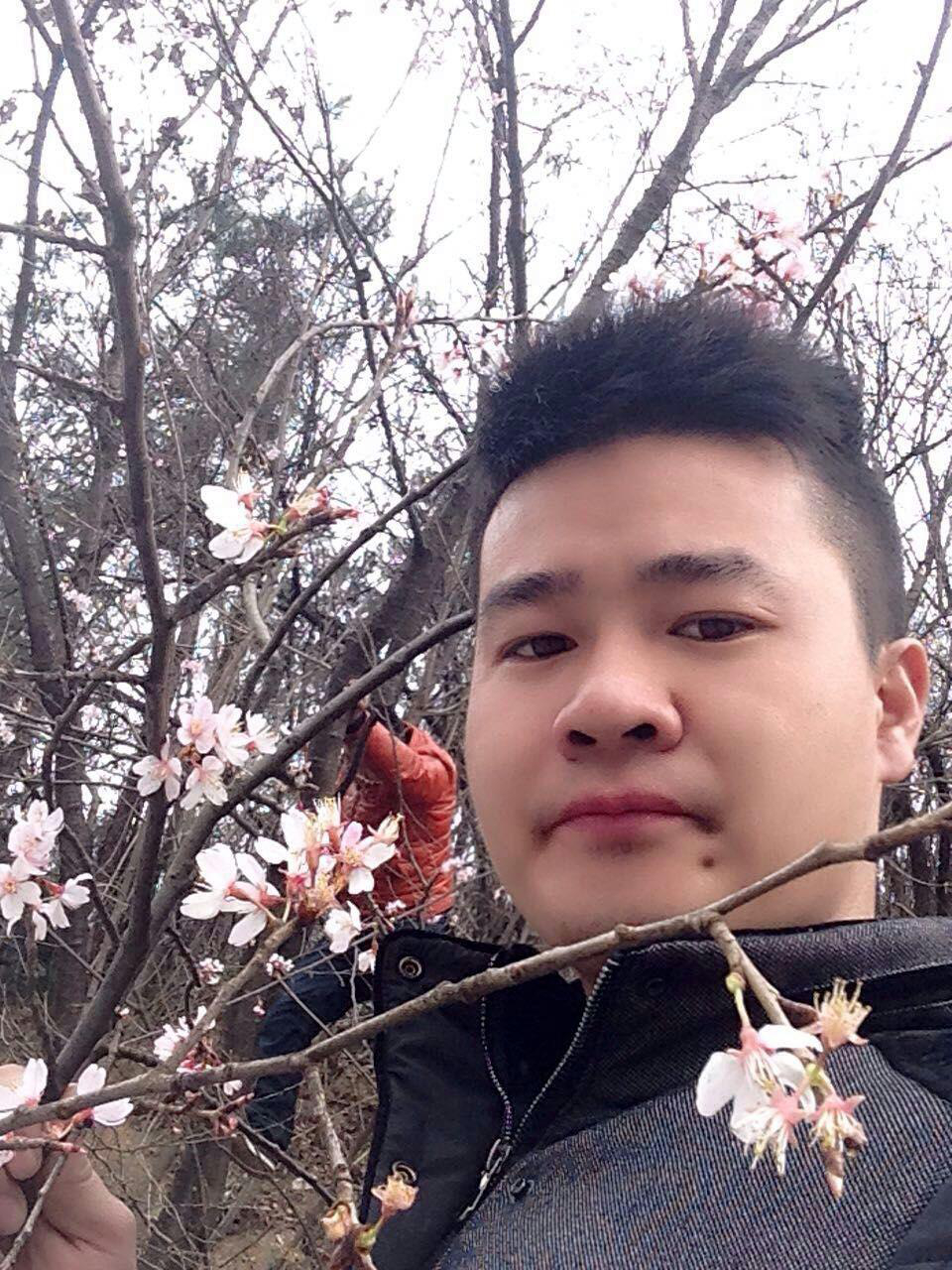 男人的心