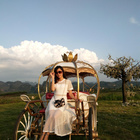 會(huì)員95220964