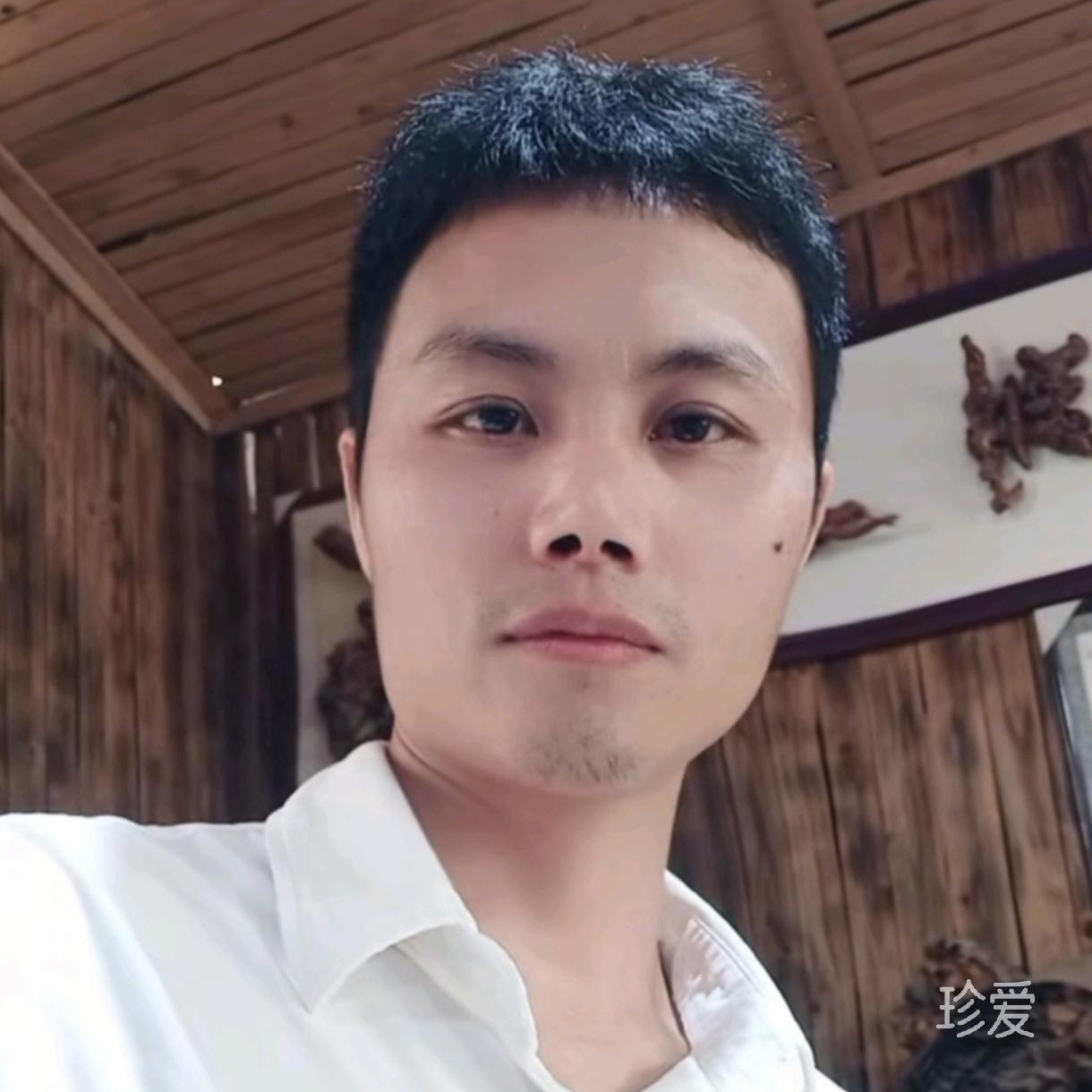 力美术馆