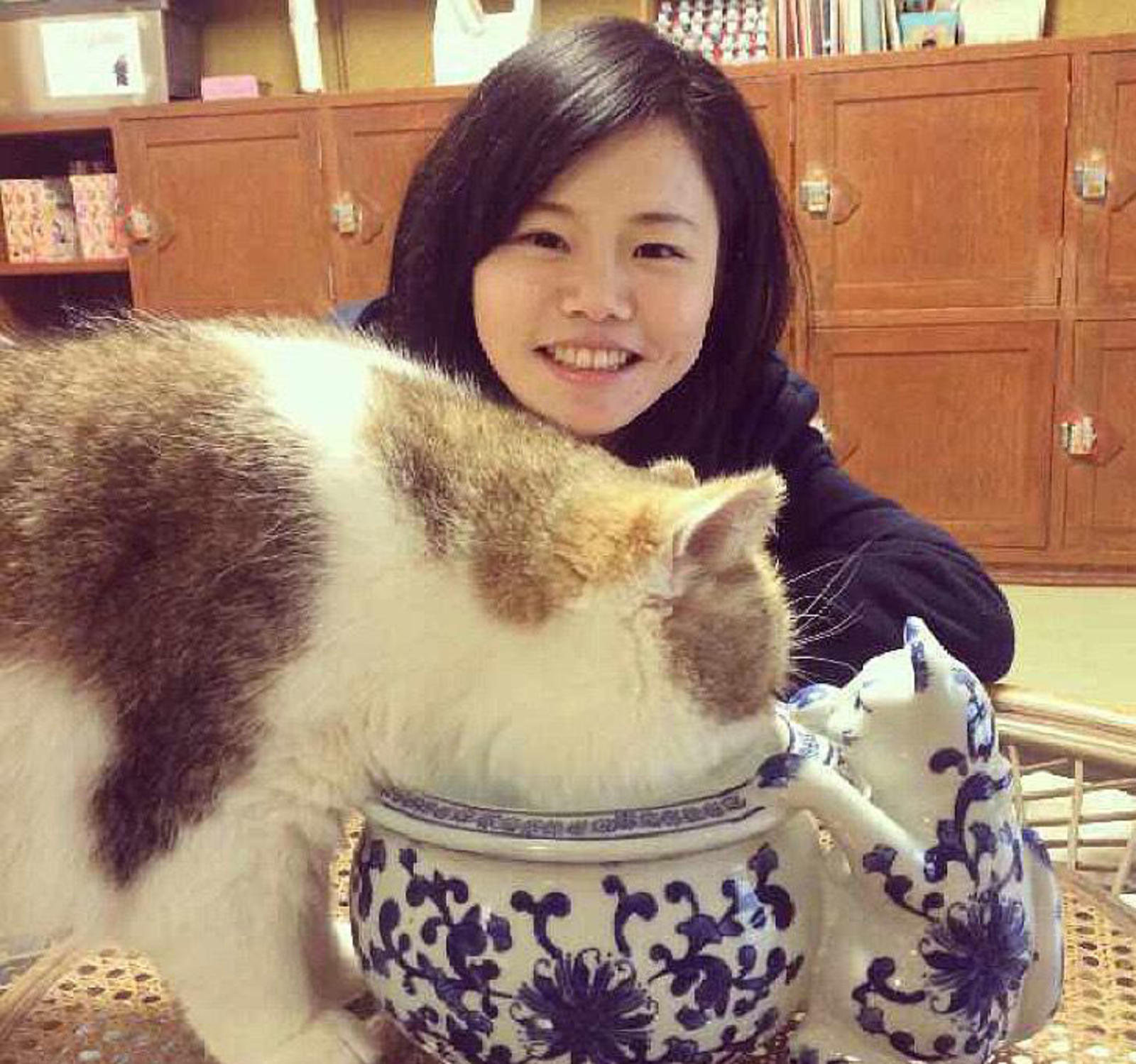 會(huì)員95278879