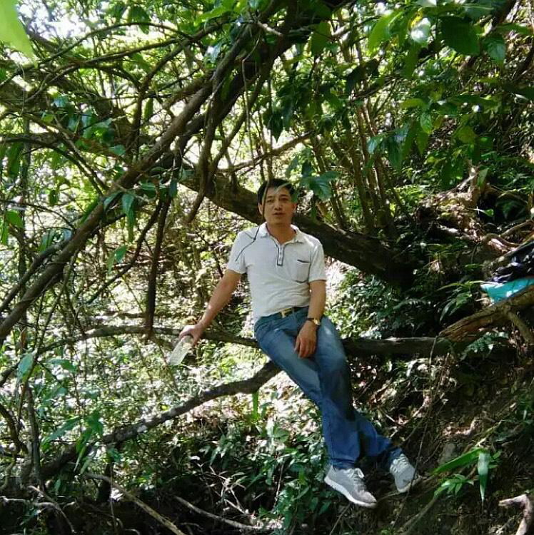 會(huì)員95332718