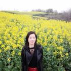 細(xì)水長(zhǎng)流