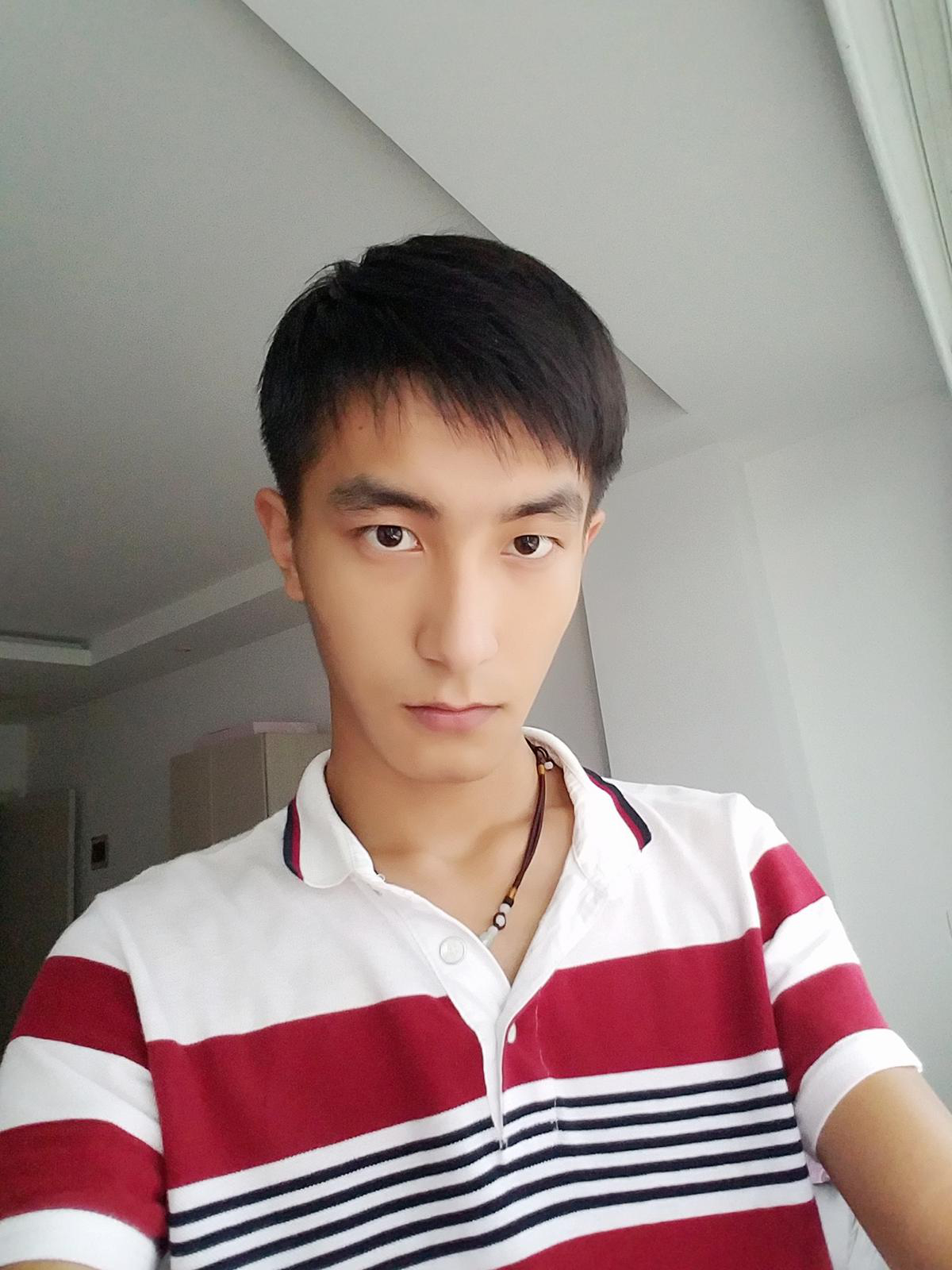 会员95800066