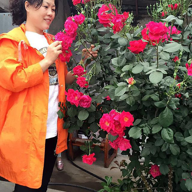 每天幸福多一點