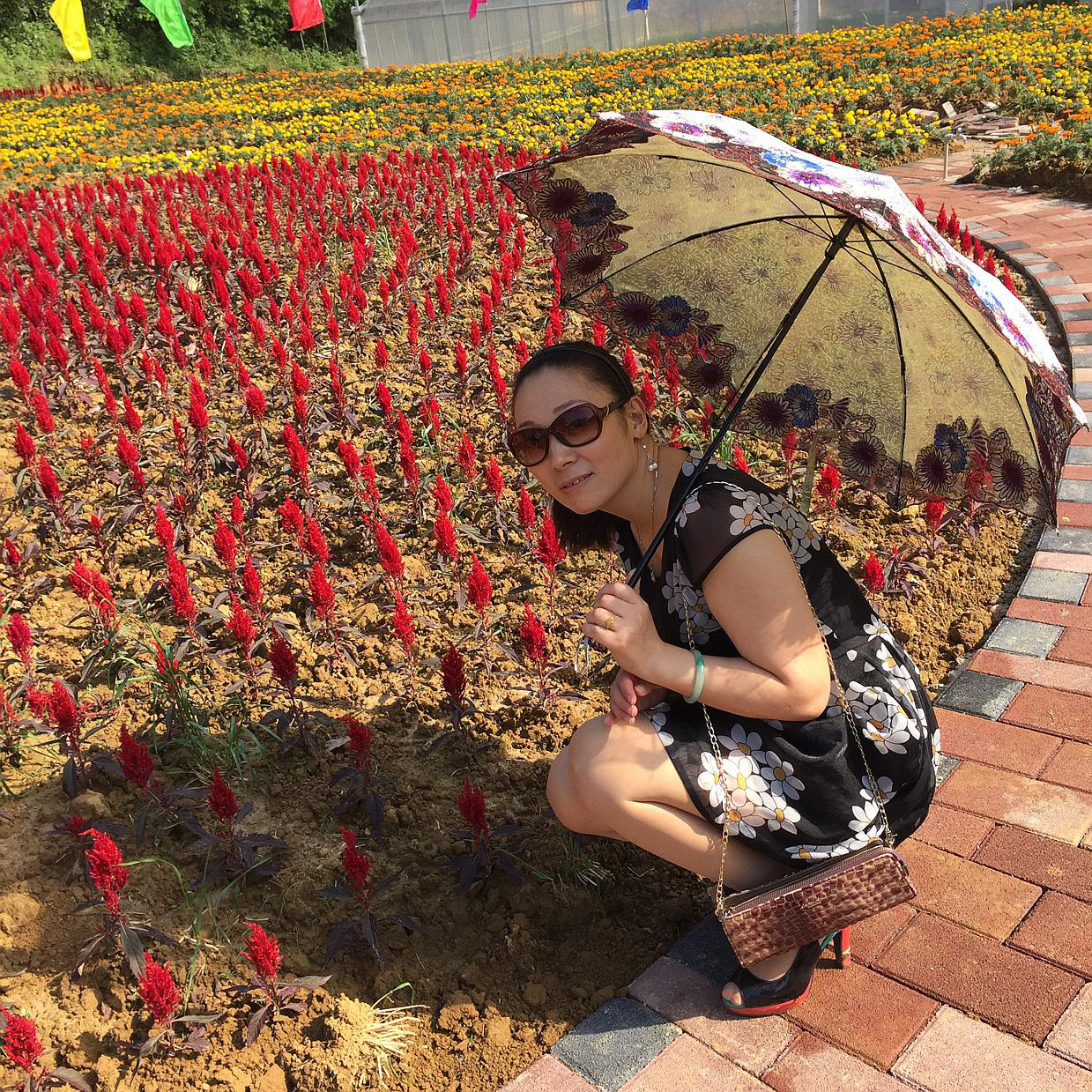 會(huì)員95909663