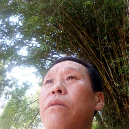 会员96139601